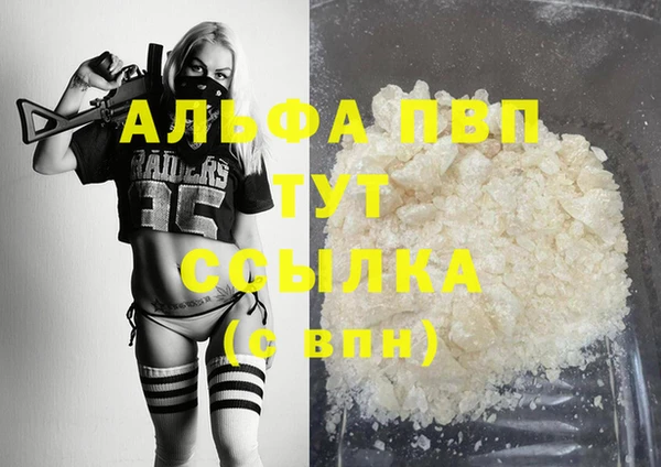 сатива Баксан