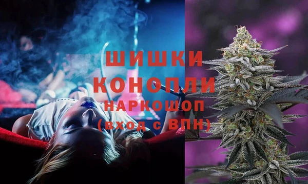 сатива Баксан